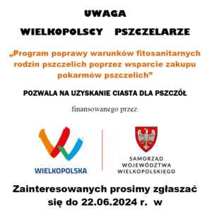 grafika