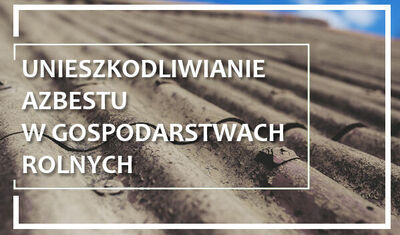 Grafika