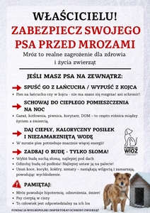 Plakat - zabezpieczenia psa przed mrozami