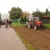 Gołuchów ORLIK 2014