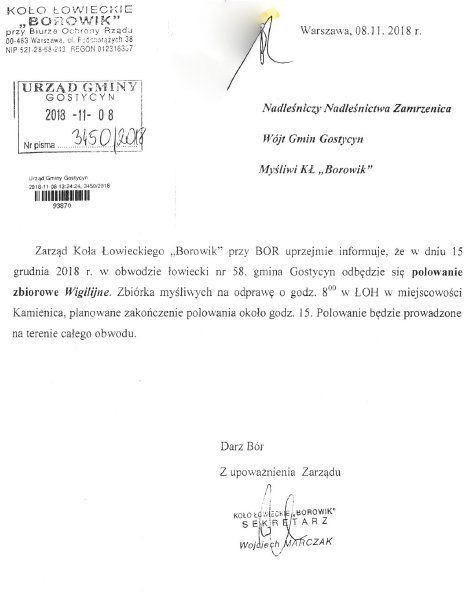 borowik.jpg borowik.jpg