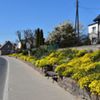 Gostycyńskie Skarpy przy ulicy Głównej