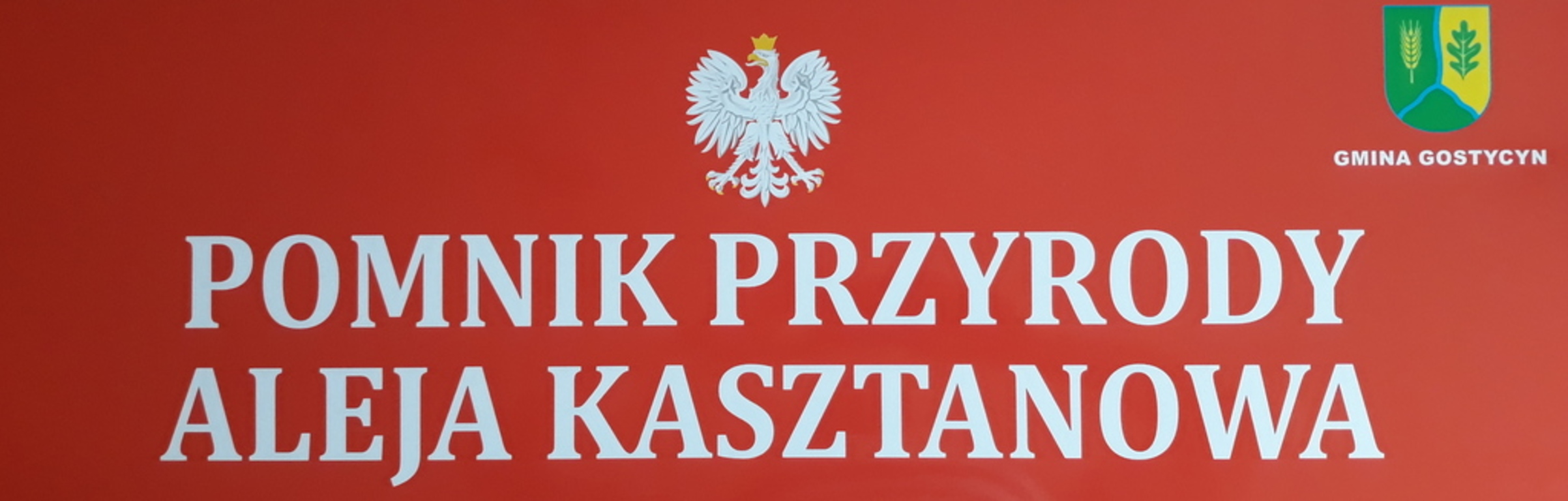 polmnik.jpg