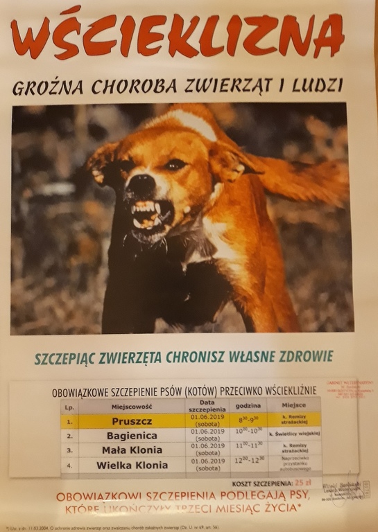 w2.jpg