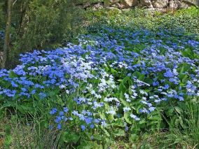 7_uludkawiosenna.jpg 7_uludkawiosenna.jpg