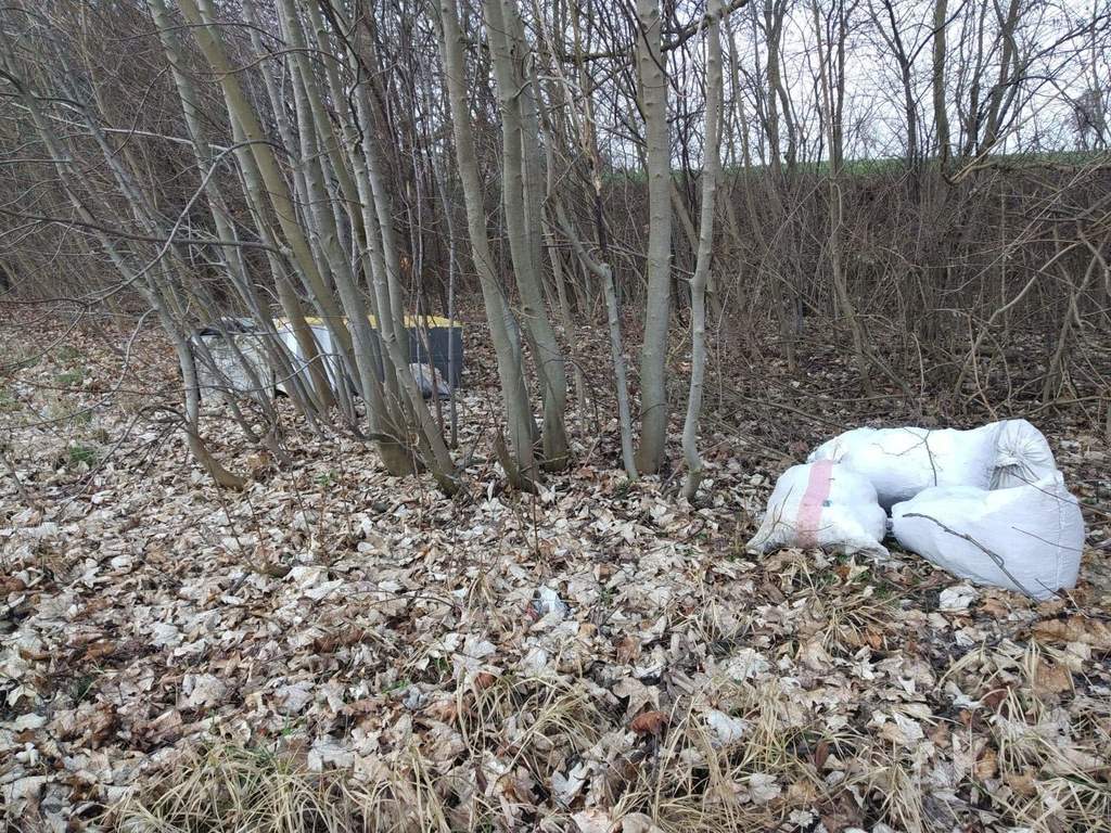 received_524170488203987.jpeg