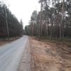 Trasa przez las do Leontynowa