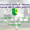 Międzysołecki Turniej „6” Piłkarskich
O PUCHAR WÓJTA GMINY GOSTYCYN
20 czerwca 2015 r. Godz. 11:0