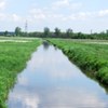 Foto. Rzeka Jeziorka (Szpinalów)