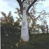 Zespół dworski w Osinach - obelisk przy drodze do Dmosina - pocz. XX w.
