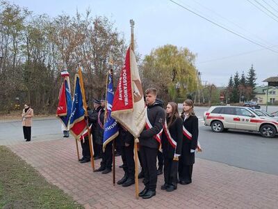  (link otworzy duże zdjęcie)