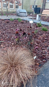  (link otworzy duże zdjęcie)