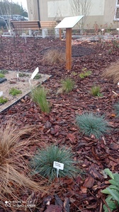  (link otworzy duże zdjęcie)