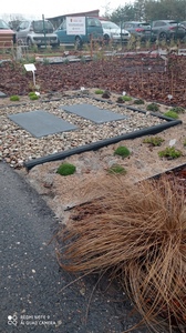  (link otworzy duże zdjęcie)