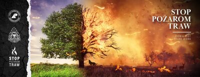 pożar traw