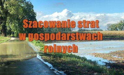 szacowanie szkod