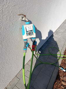  (link otworzy duże zdjęcie)