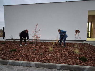  (link otworzy duże zdjęcie)