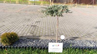  (link otworzy duże zdjęcie)