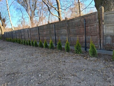  (link otworzy duże zdjęcie)