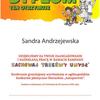  (link otworzy duże zdjęcie)