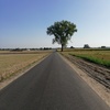  (link otworzy duże zdjęcie)