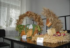 Wieńce dożynkowe z Przyrownicy i Leśnicy