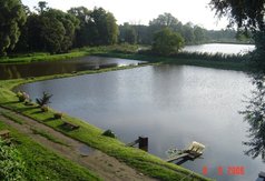 Widok na stawy hodowlane w Piorunowie