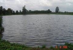 Łowisko dla wędkarzy Amur, należące do Tomasza Grobelnego