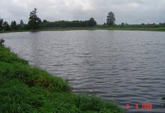 Łowisko Amur