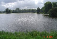 Widok na stawy hodowlane w Piorunowie
