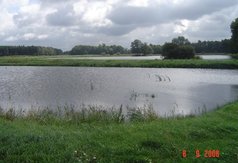 łowisko dla wędkarzy Amur, należące do Tomasza Grobelnego