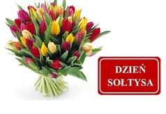 Czytaj więcej