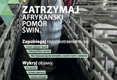 Czytaj więcej