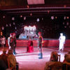W dniu 19 stycznia 2010r. kolędnicy z Harasiuk występowali w Gminnym Centrum Kultury w Ulanowie.