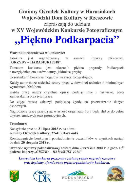 (link otworzy duże zdjęcie)