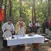  (link otworzy duże zdjęcie)