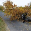  (link otworzy duże zdjęcie)