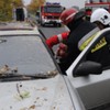  (link otworzy duże zdjęcie)