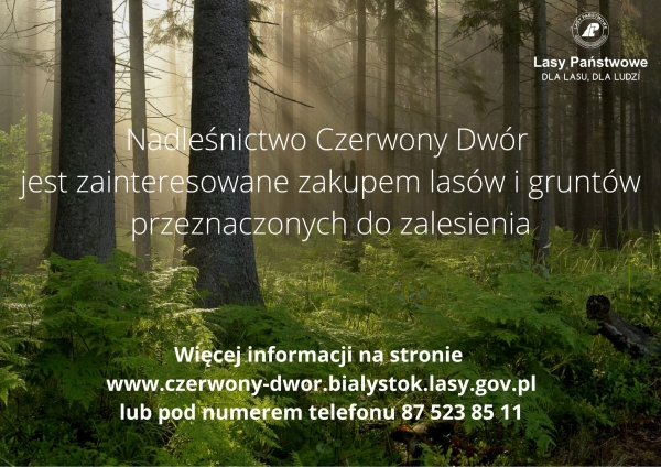 (link otworzy duże zdjęcie)