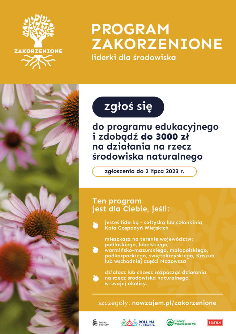 (link otworzy duże zdjęcie)
