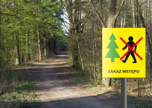 (link otworzy duże zdjęcie)