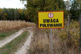 (link otworzy duże zdjęcie)