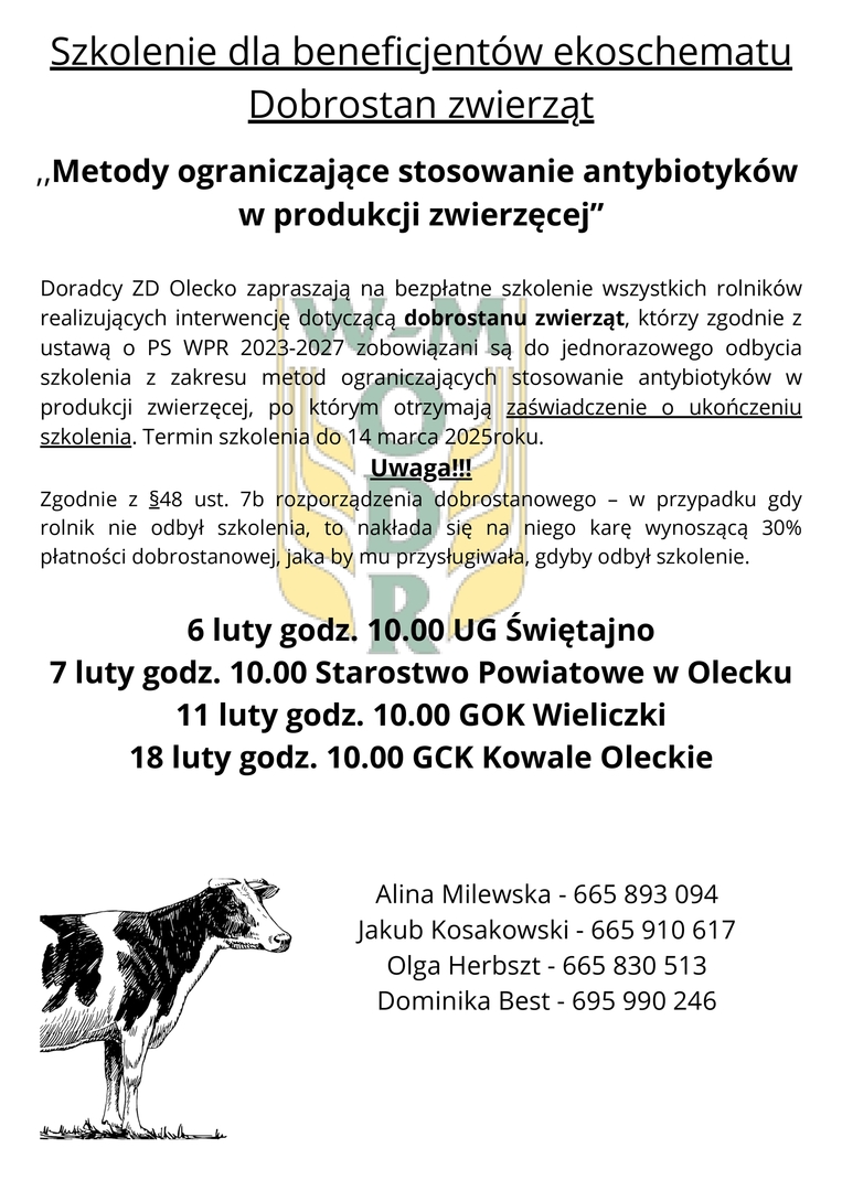 (link otworzy duże zdjęcie)