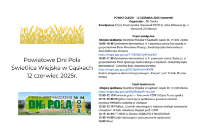  (link otworzy duże zdjęcie)