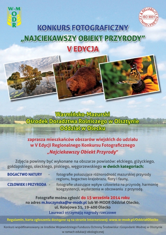 (link otworzy duże zdjęcie)