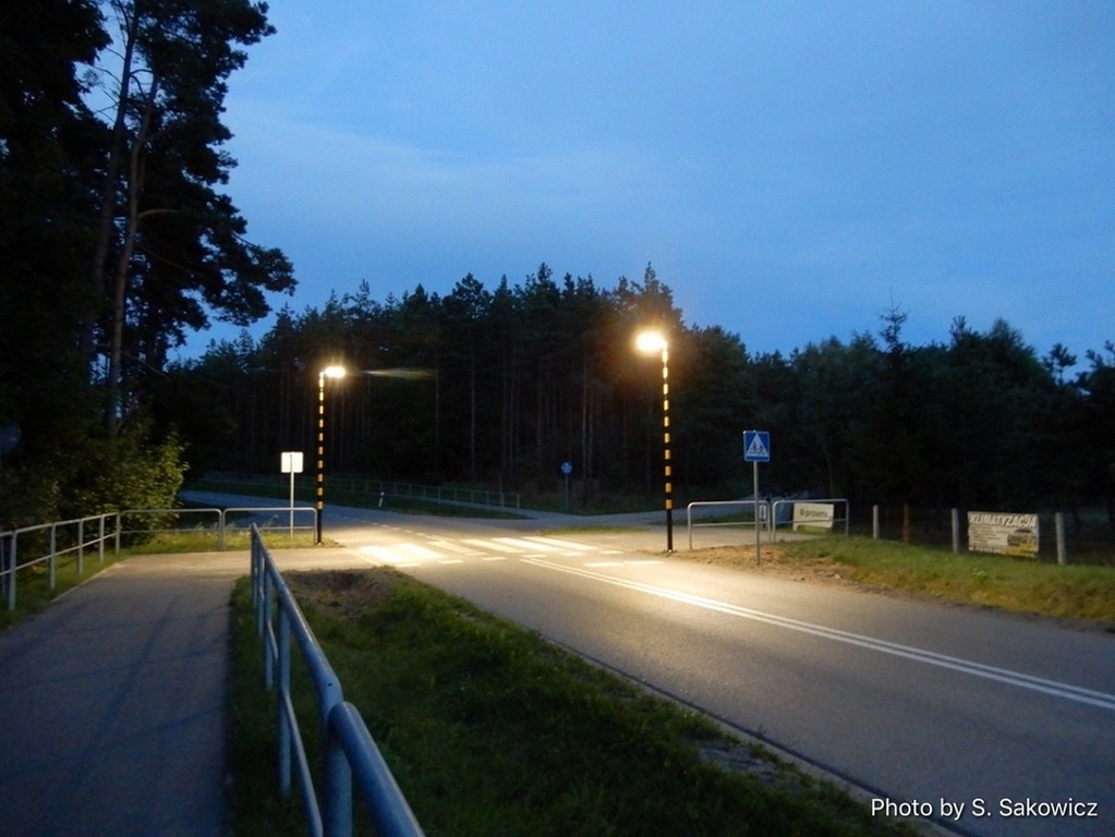 Foto S. Sakowicz (link otworzy duże zdjęcie)