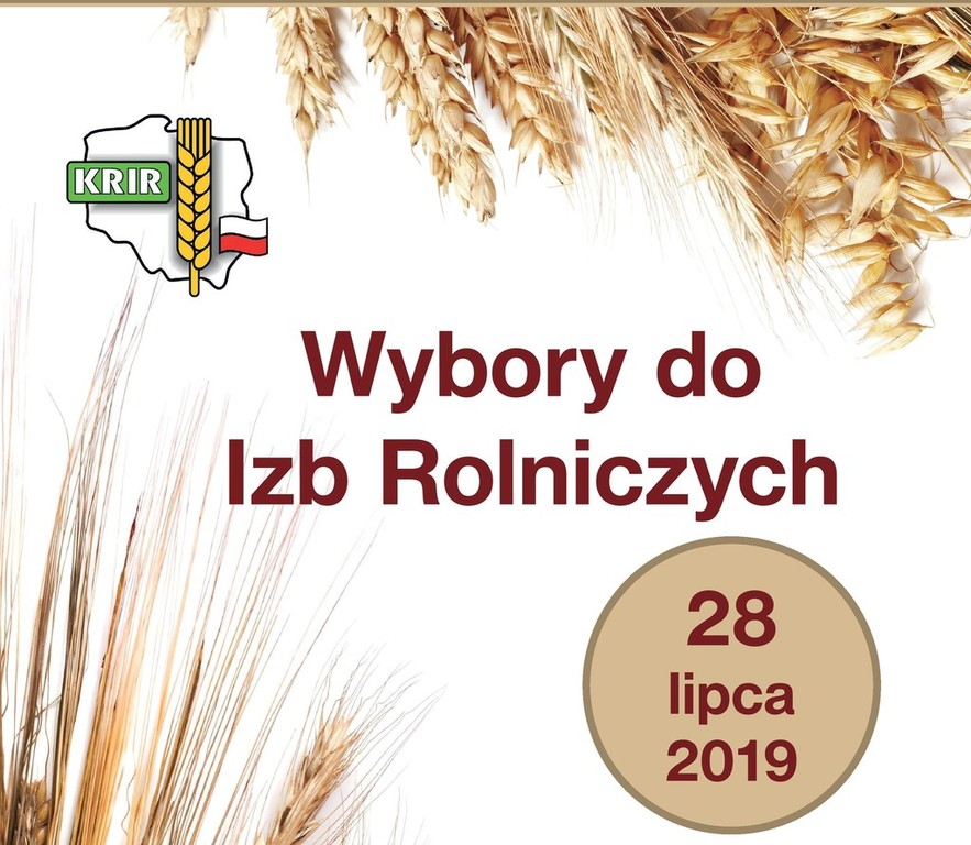 (link otworzy duże zdjęcie)