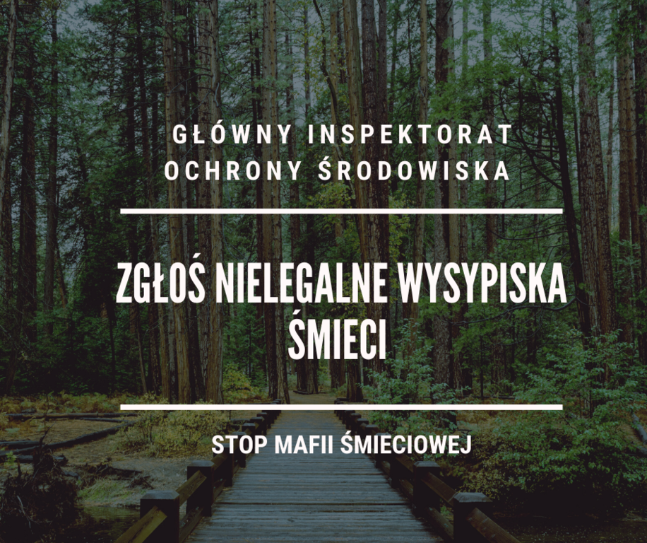 (link otworzy duże zdjęcie)