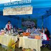  (link otworzy duże zdjęcie)